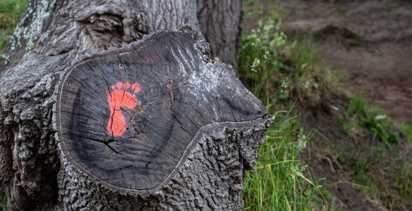 Photo carbon footprint