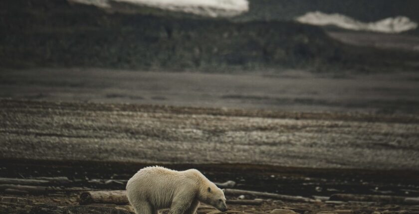 Photo credit and climate