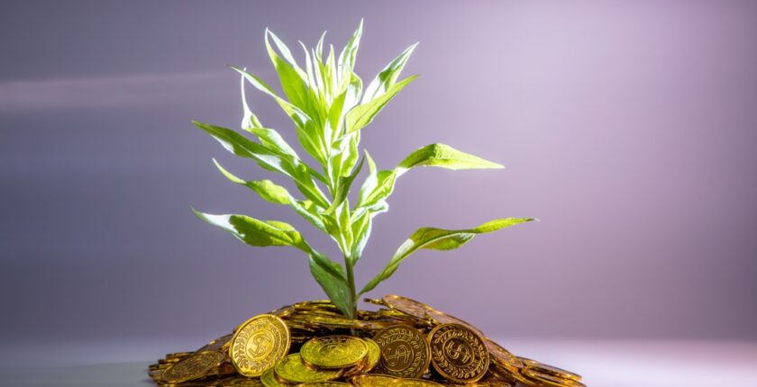 Photo sustainability finance