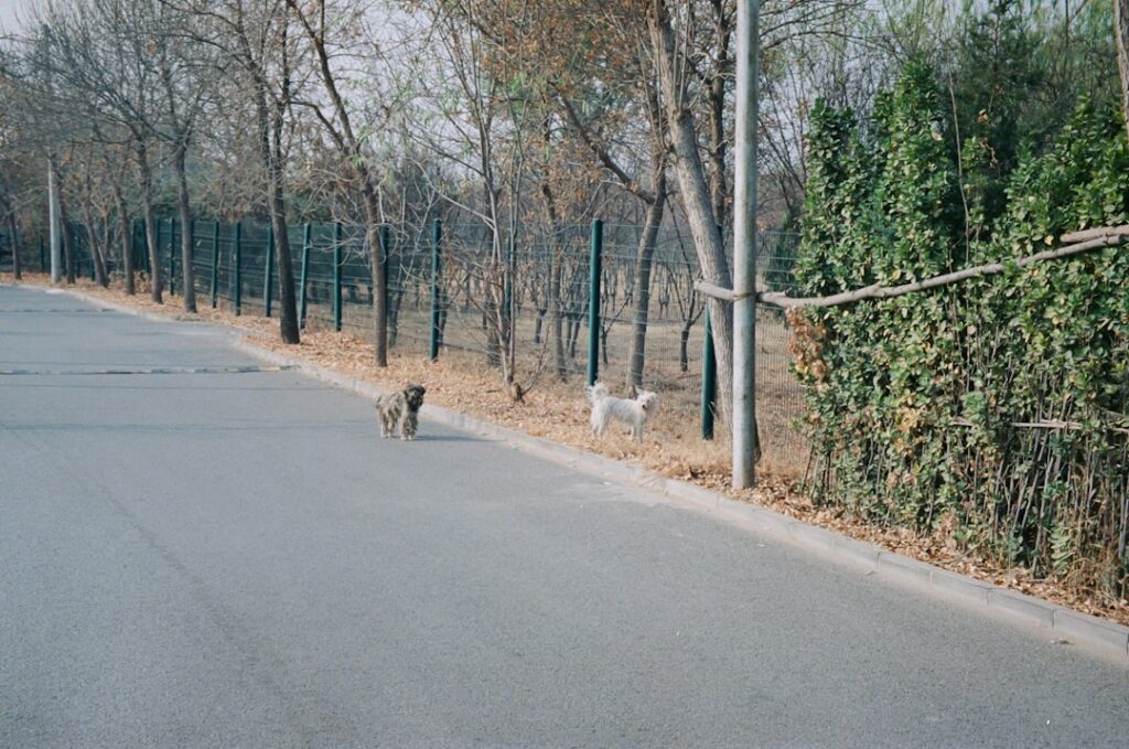 Photo ISO 20022 migration