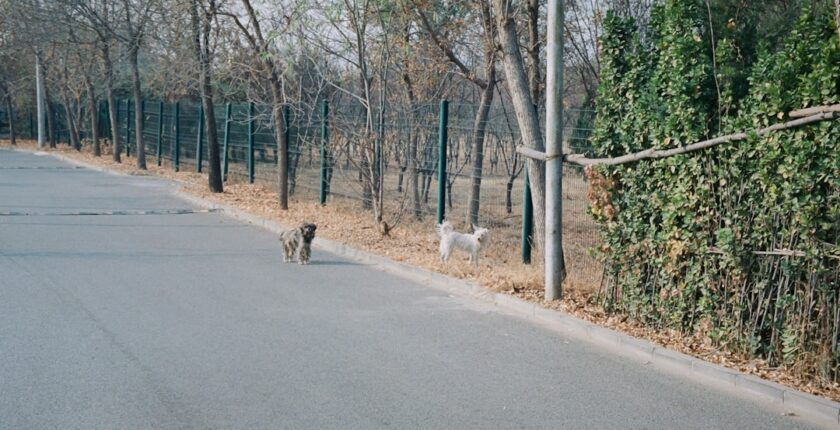 Photo ISO 20022 migration