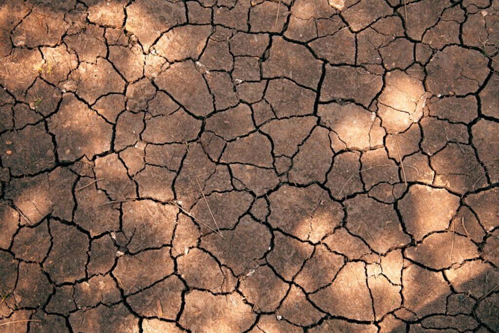 Photo climate risk management