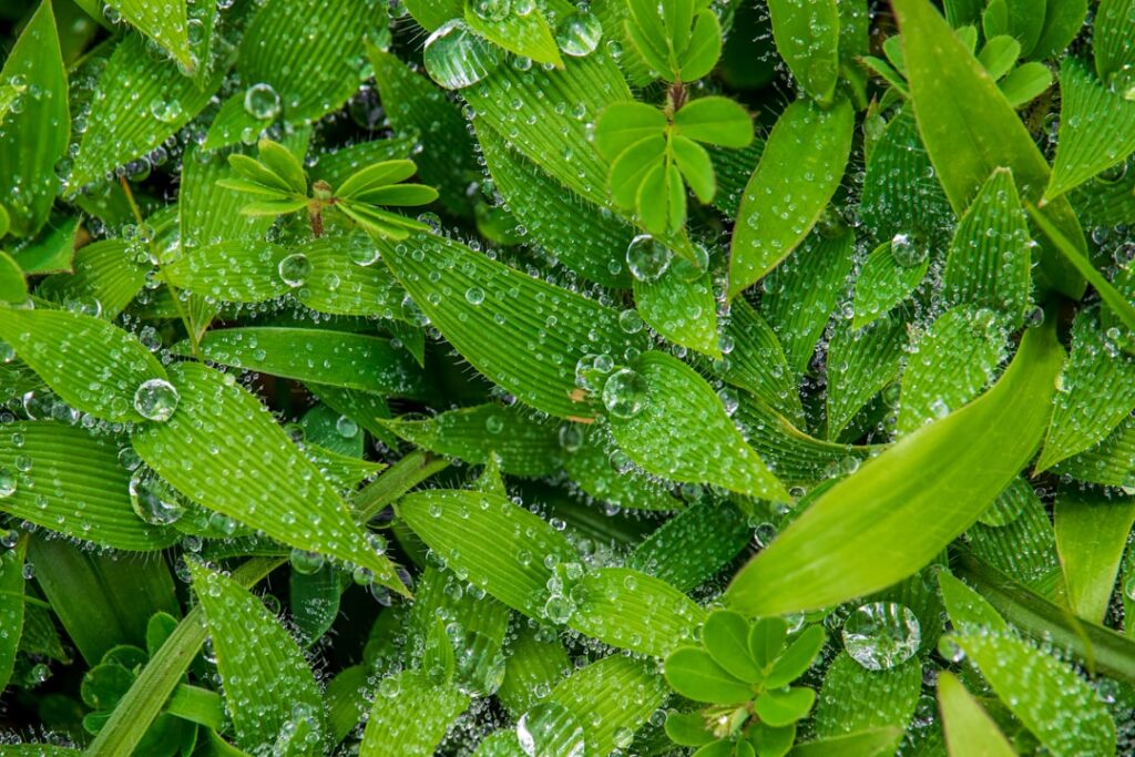 Photo greenwashing