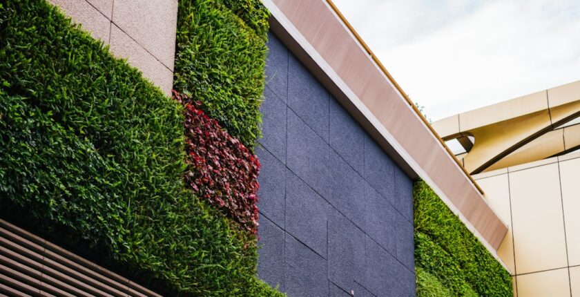 Photo sustainability governance