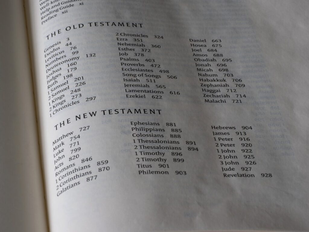 Photo Taxonomy