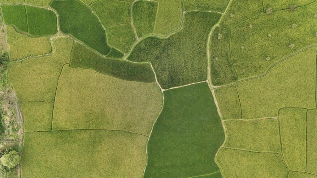 Photo sustainability risk mapping