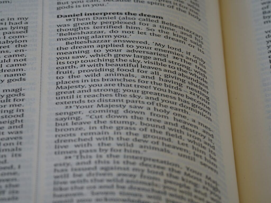 Photo Taxonomy