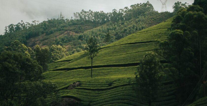 Photo sustainability governance