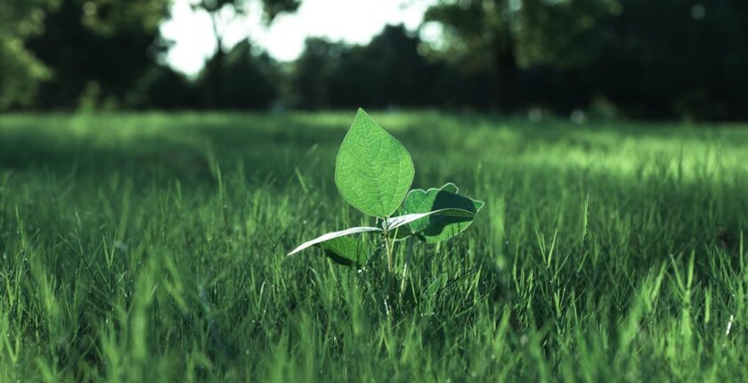 Photo sustainability governance