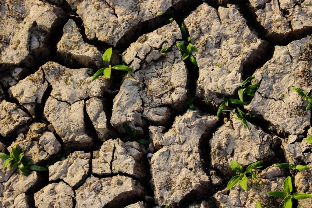 Photo climate risk management