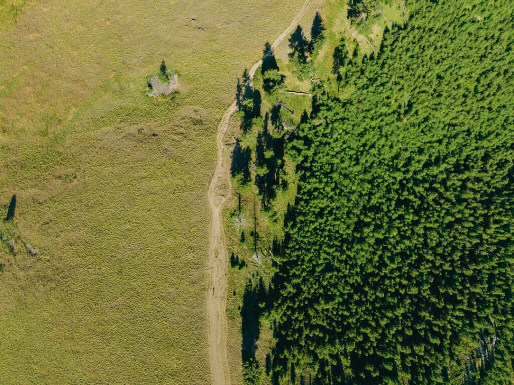 Photo carbon footprint