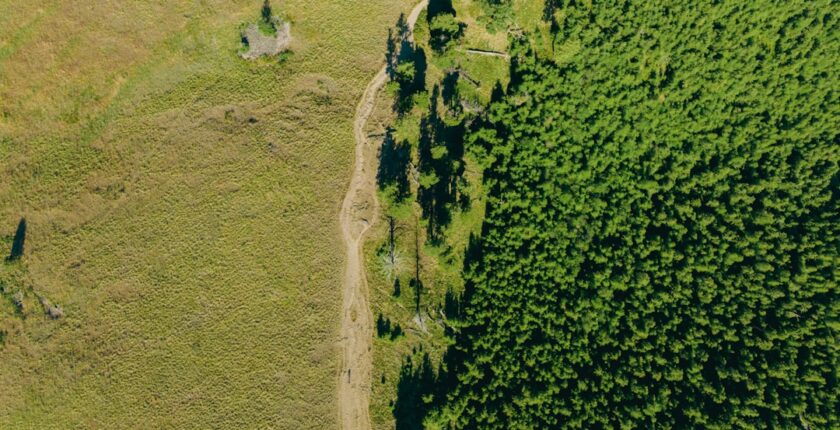 Photo carbon footprint