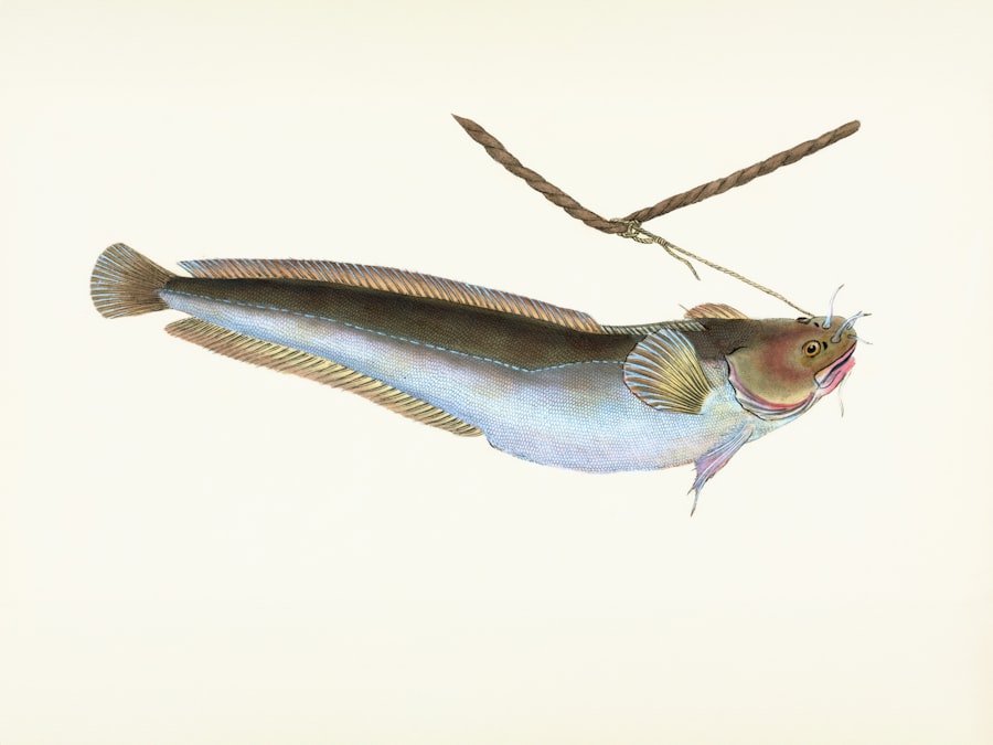 Taxonomy