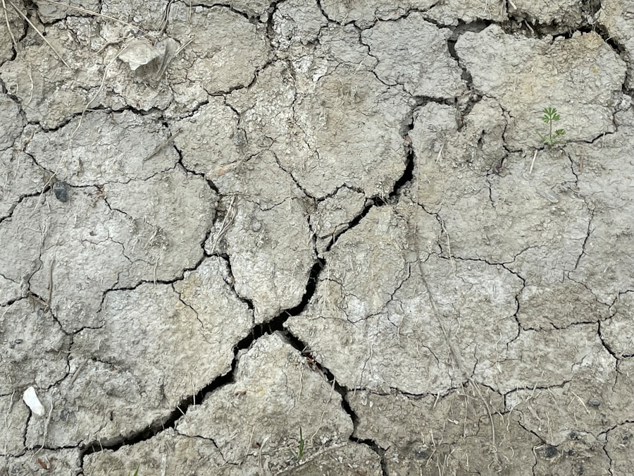 climatic risk management