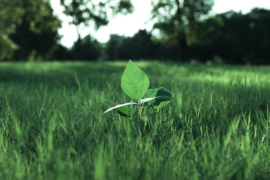 Sustainability governance