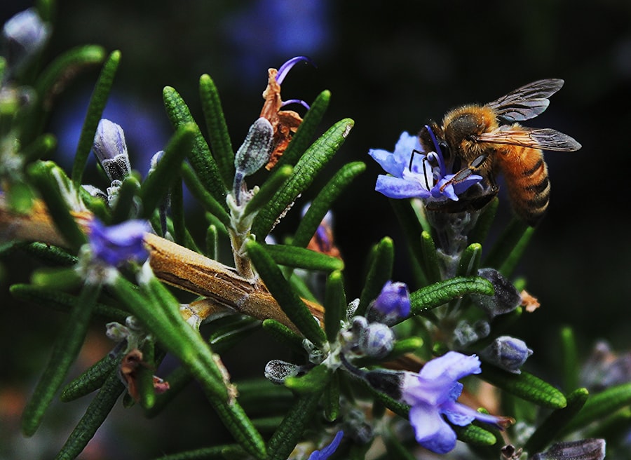 biodiversity integration