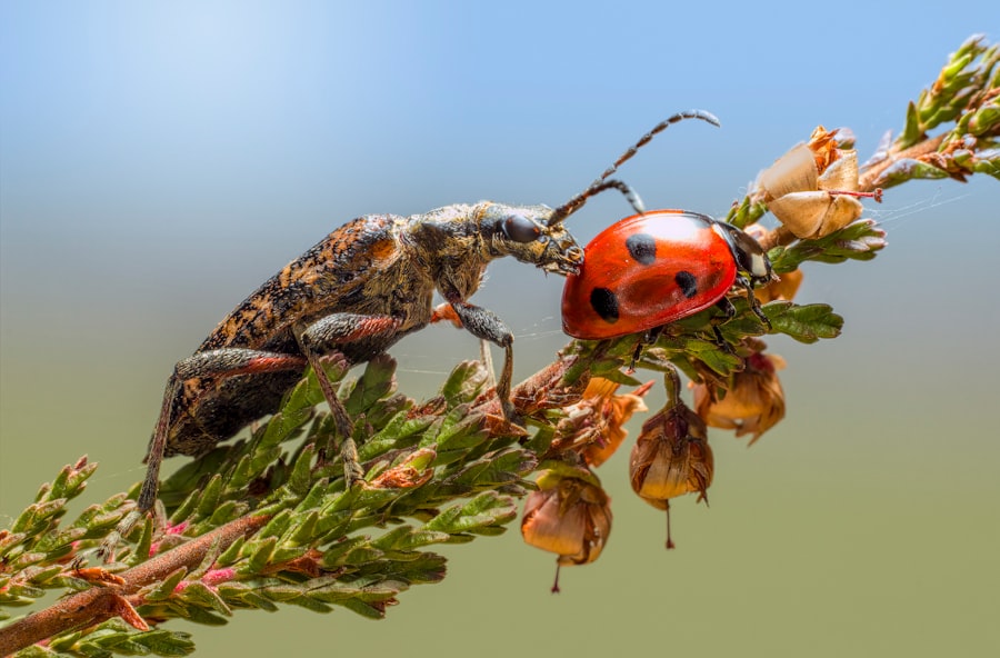biodiversity integration