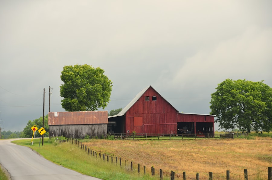 Agricultural insurance