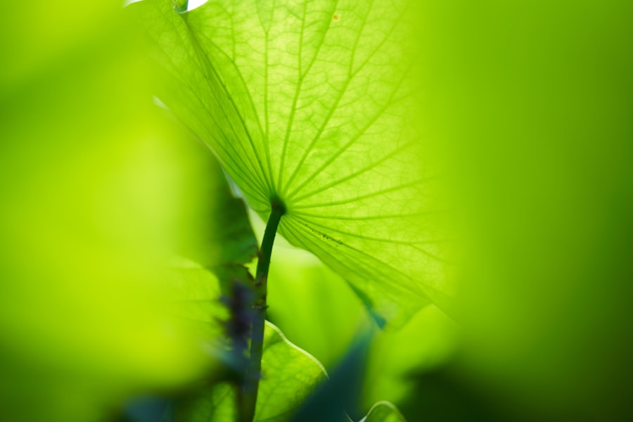Green reassurance