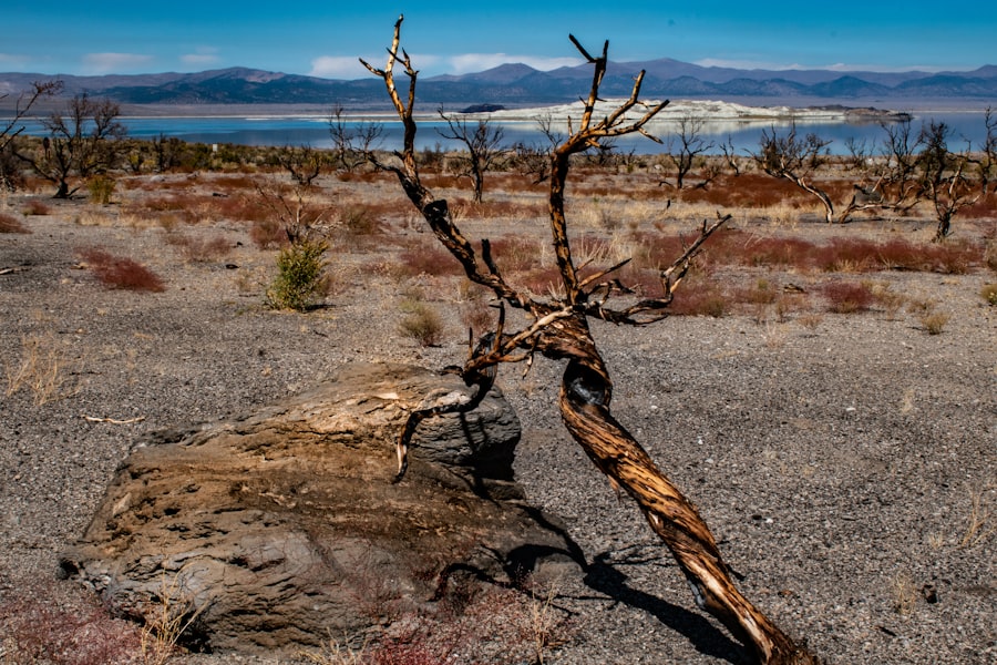 climate resilience testing