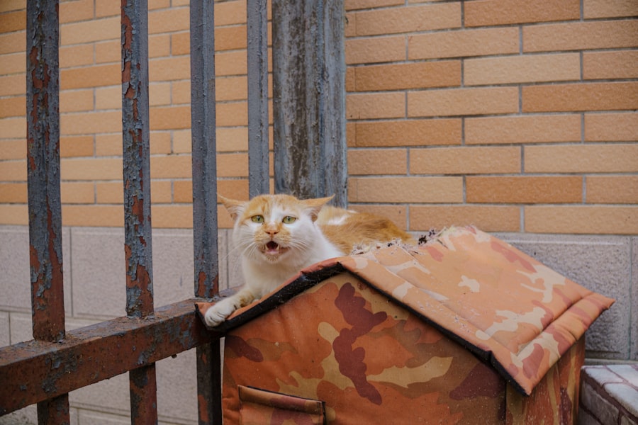 CatNat regime reform