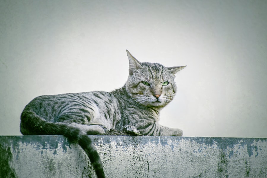 CatNat regime reform