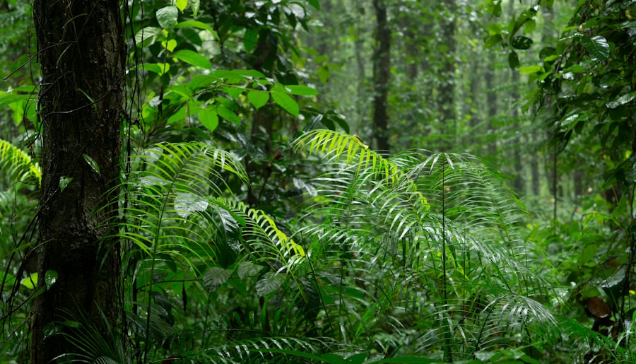 biodiversity risk assessment