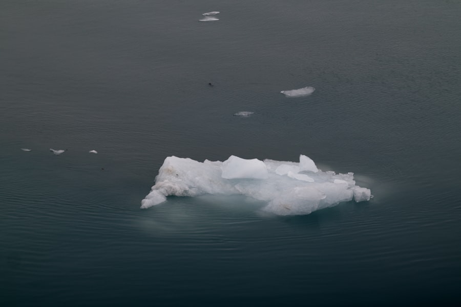climate migration