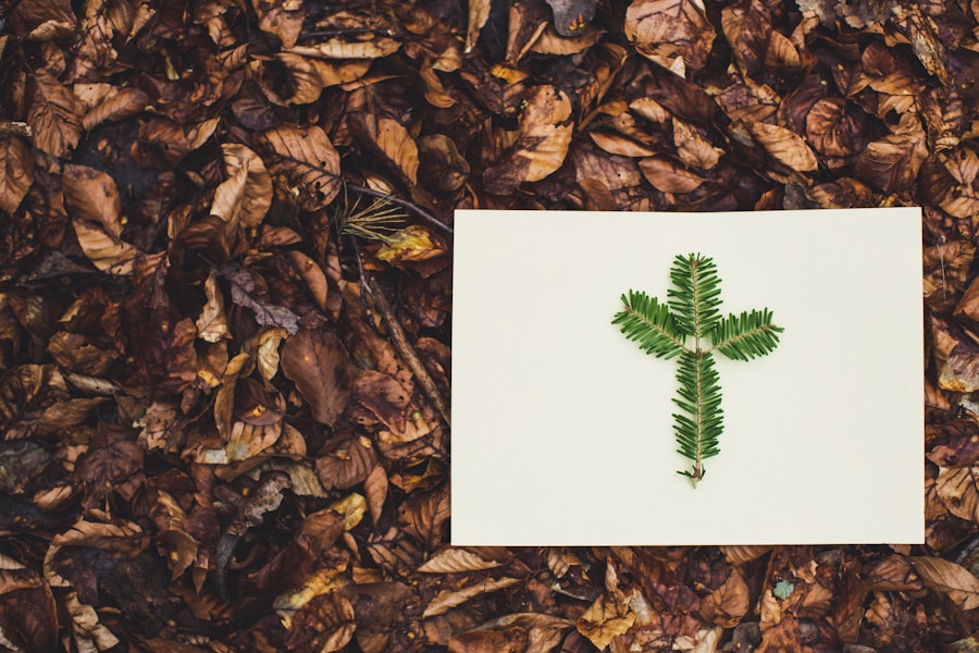 finance sustainability reconciling