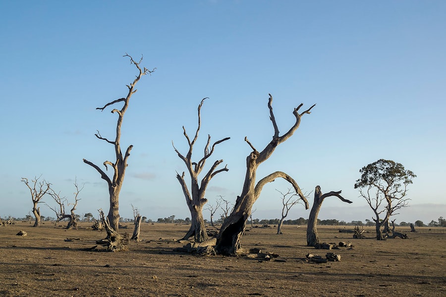 stress tests climatiques