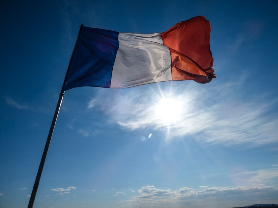 French market consolidation