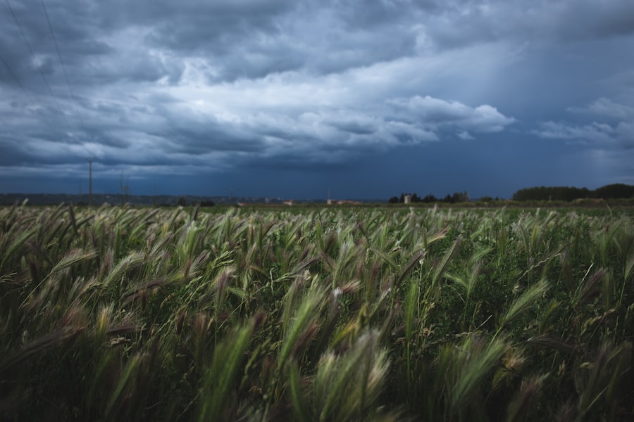 Supply chain insurance tracking: climate best practices