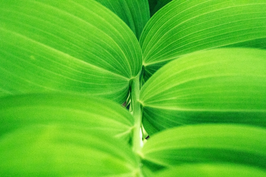 Green insurance
