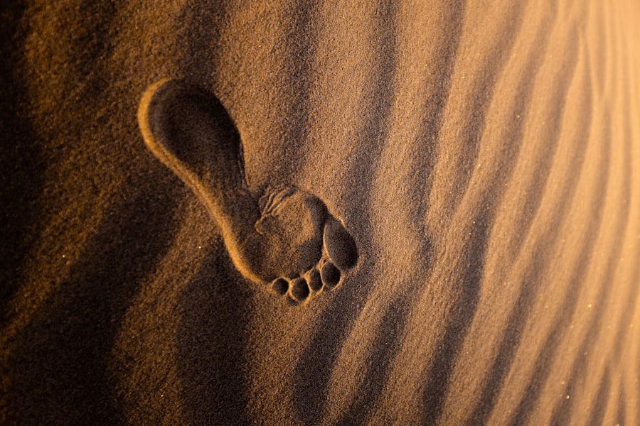carbon footprint