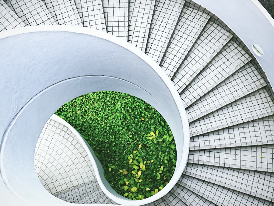 sustainability governance