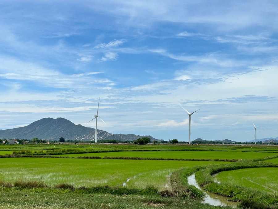 Photo sustainability report