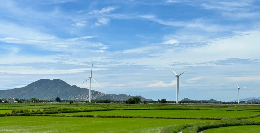 Photo sustainability report