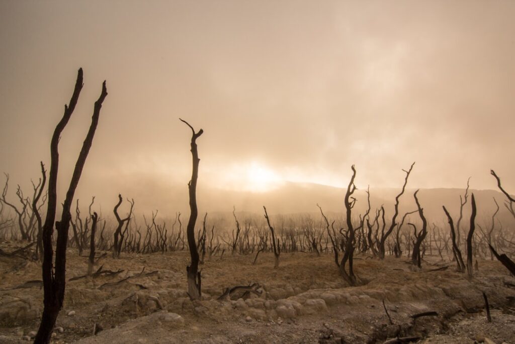 Photo climate disaster detection