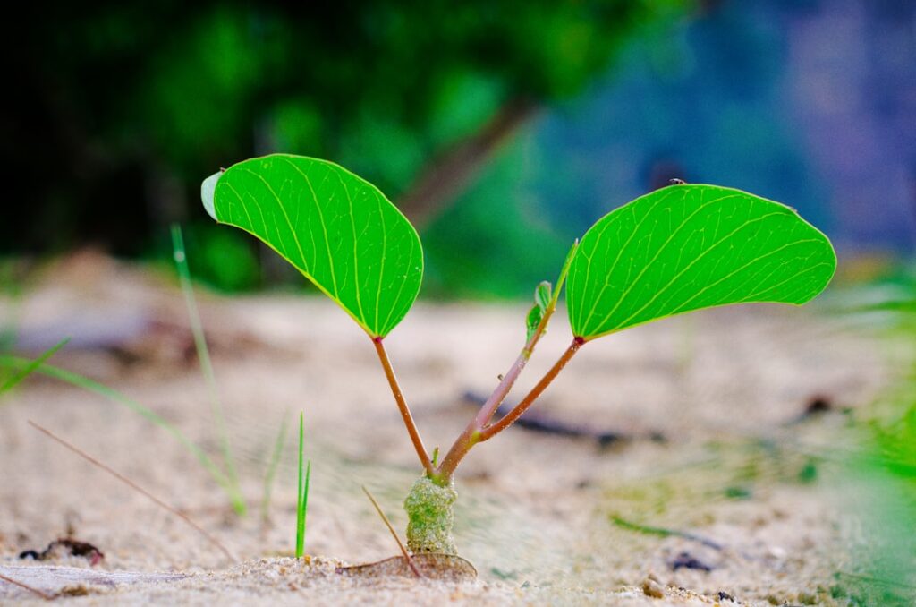 Photo finance sustainability reconciling