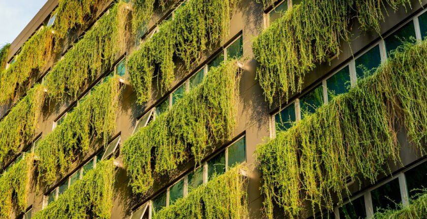 Photo sustainability report