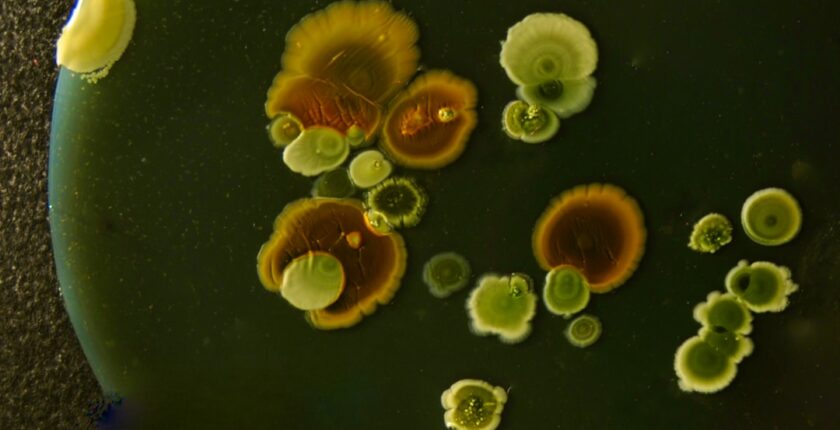 Photo Innovation culture