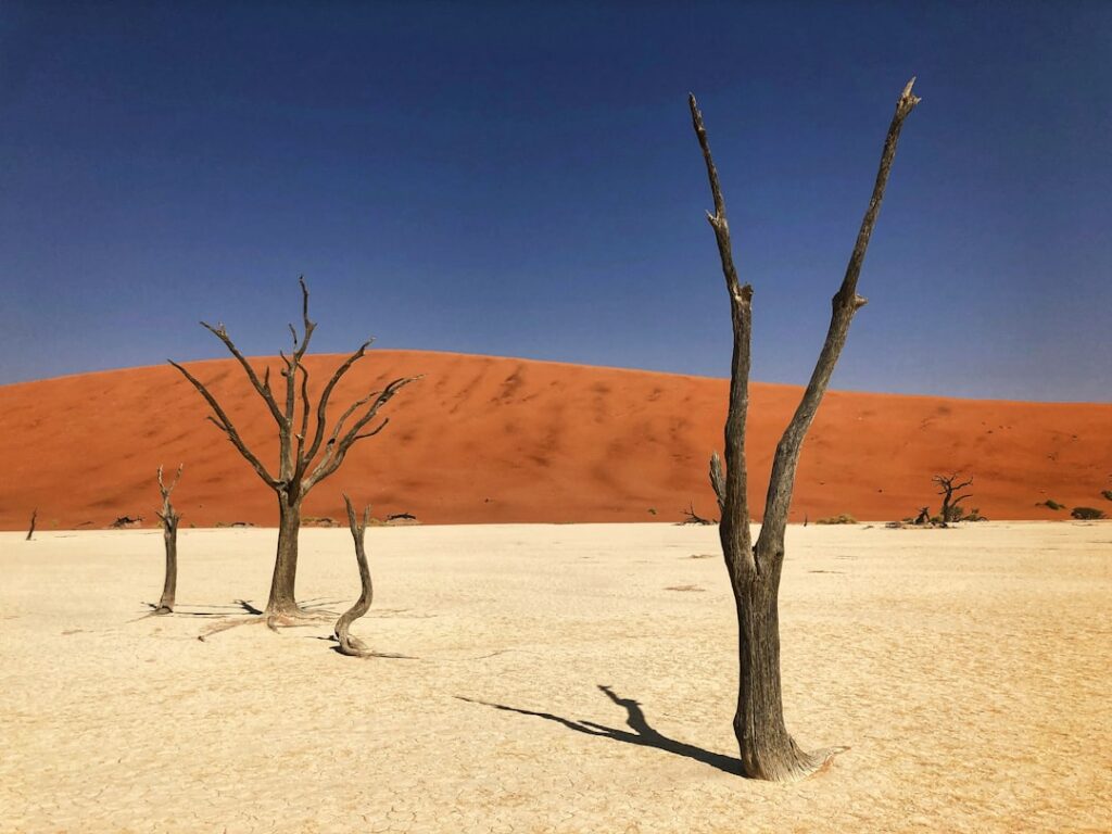 Photo transition climat