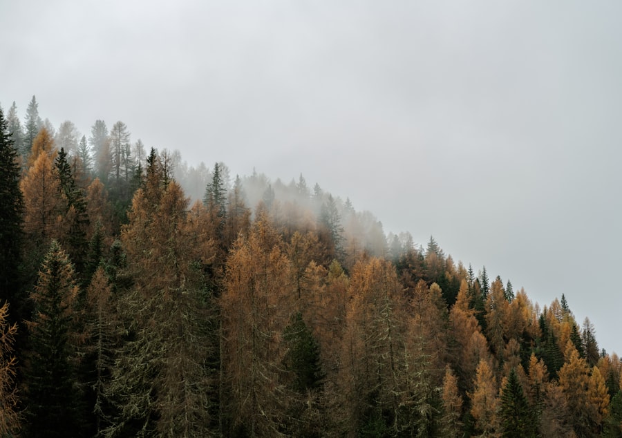 Photo transition climat