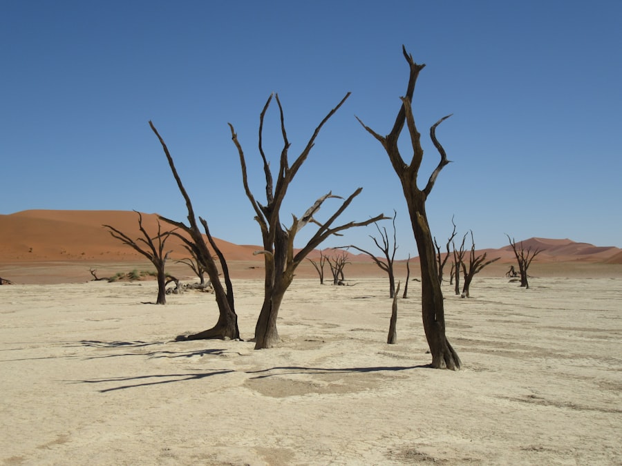 Photo stress tests climatiques