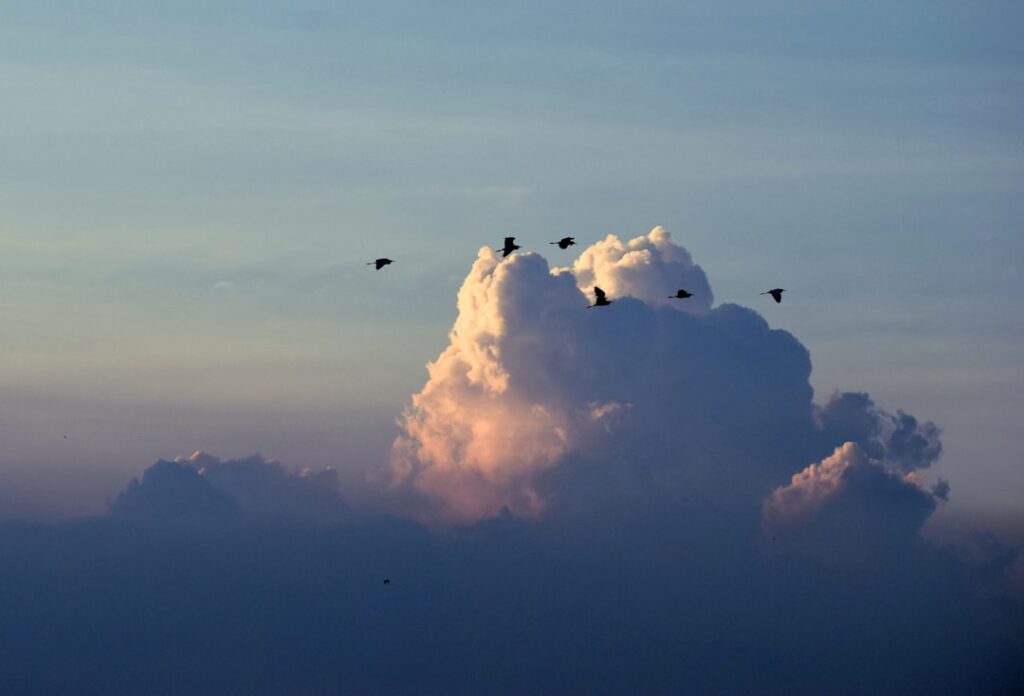 Photo Cloud Migration