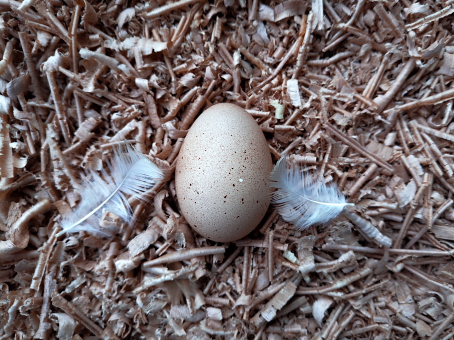 Photo incubation