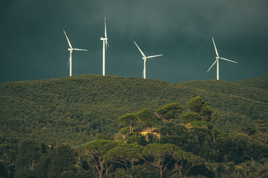 Photo sustainability risks