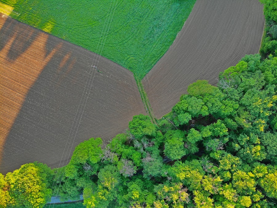 Photo Supply chain insurance tracking: climate best practices