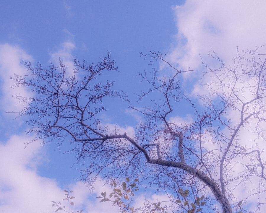 Photo climatic stress tests