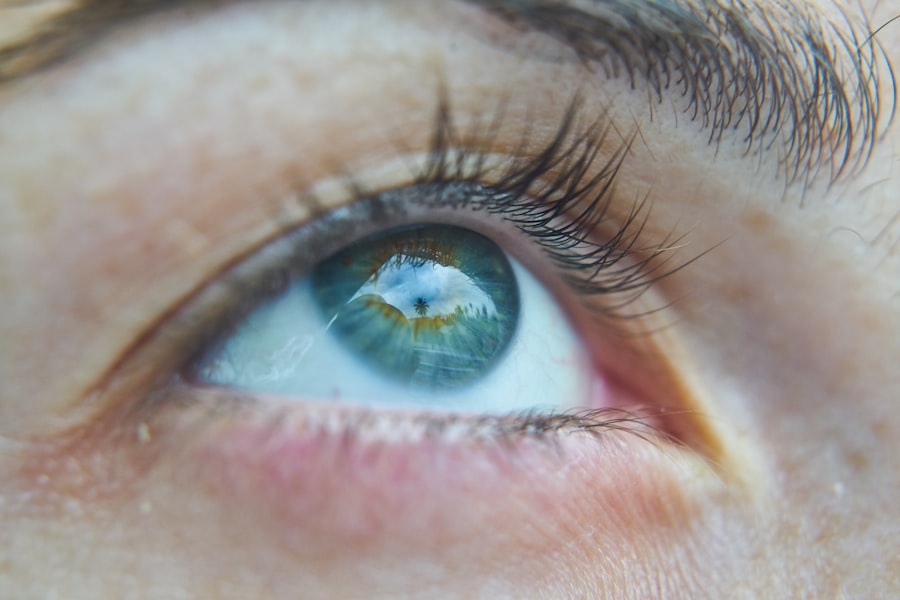 Photo Segmentation